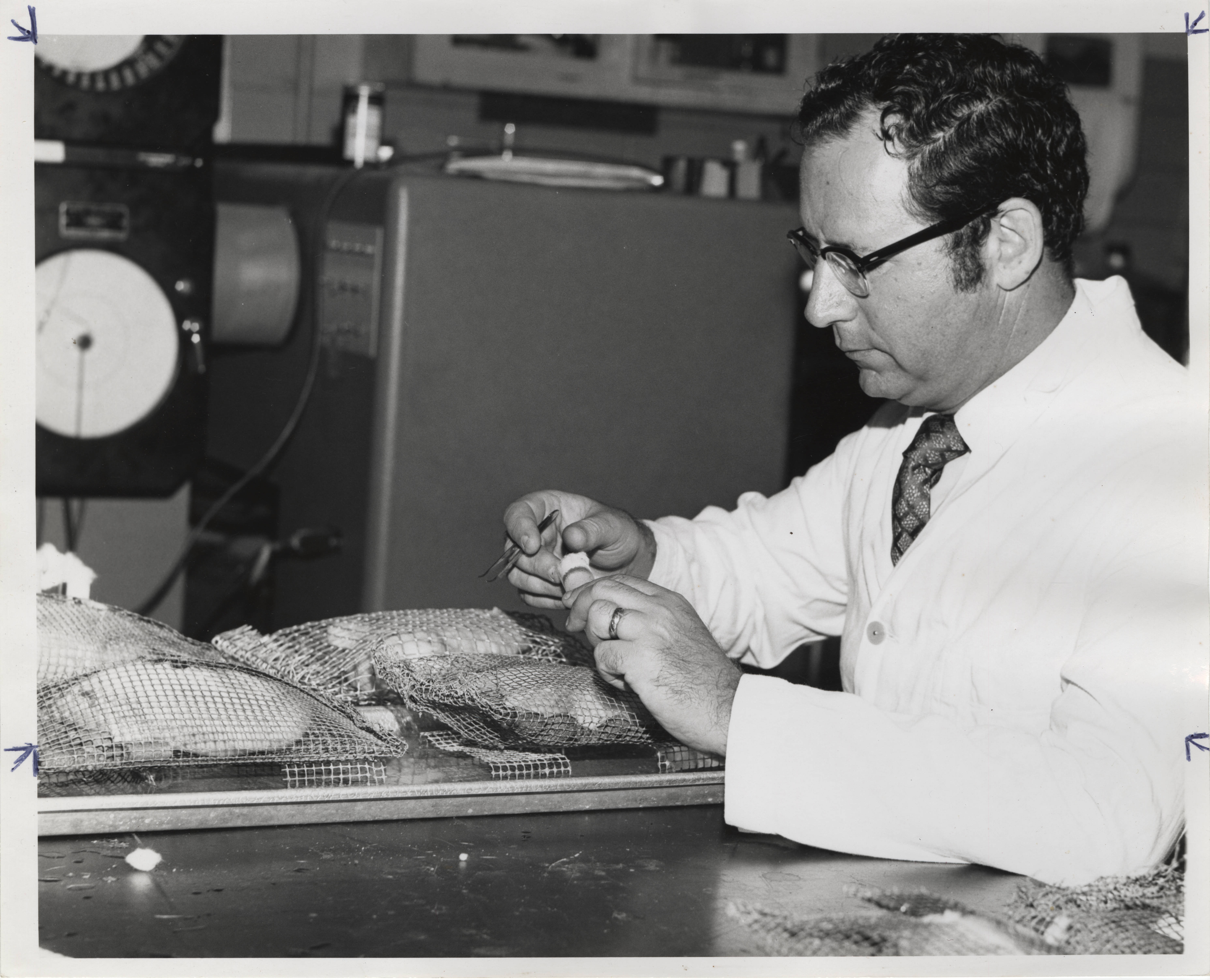  Dr. Sonenshine working on an experiment in the 1960s. 