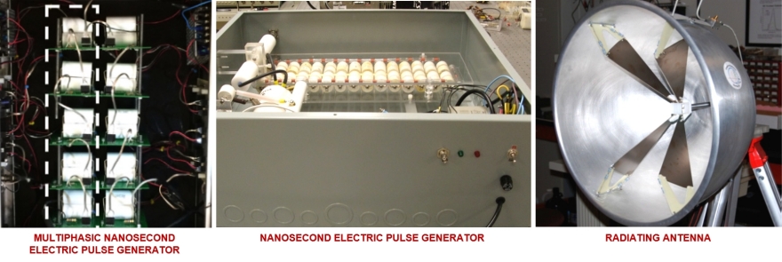 Nano-and-picosecond-pulsed-electric-fields-technology.png