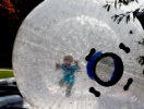 This little fellow successfully takes on a huge ball on Kaufman Mall. Photo David B. Hollingsworth/ODU