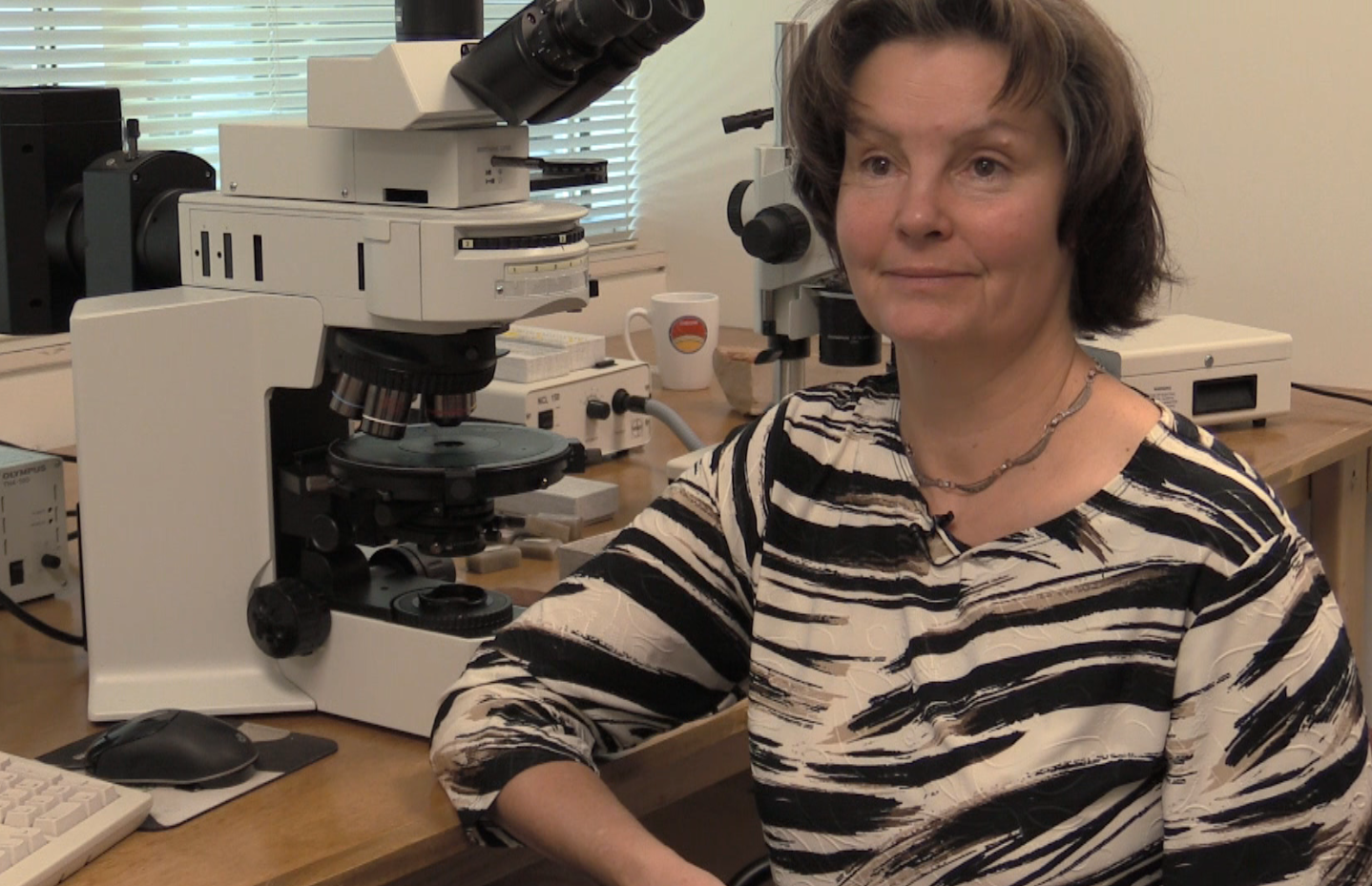 photo of ODU researcher Nora Noffke in her lab
