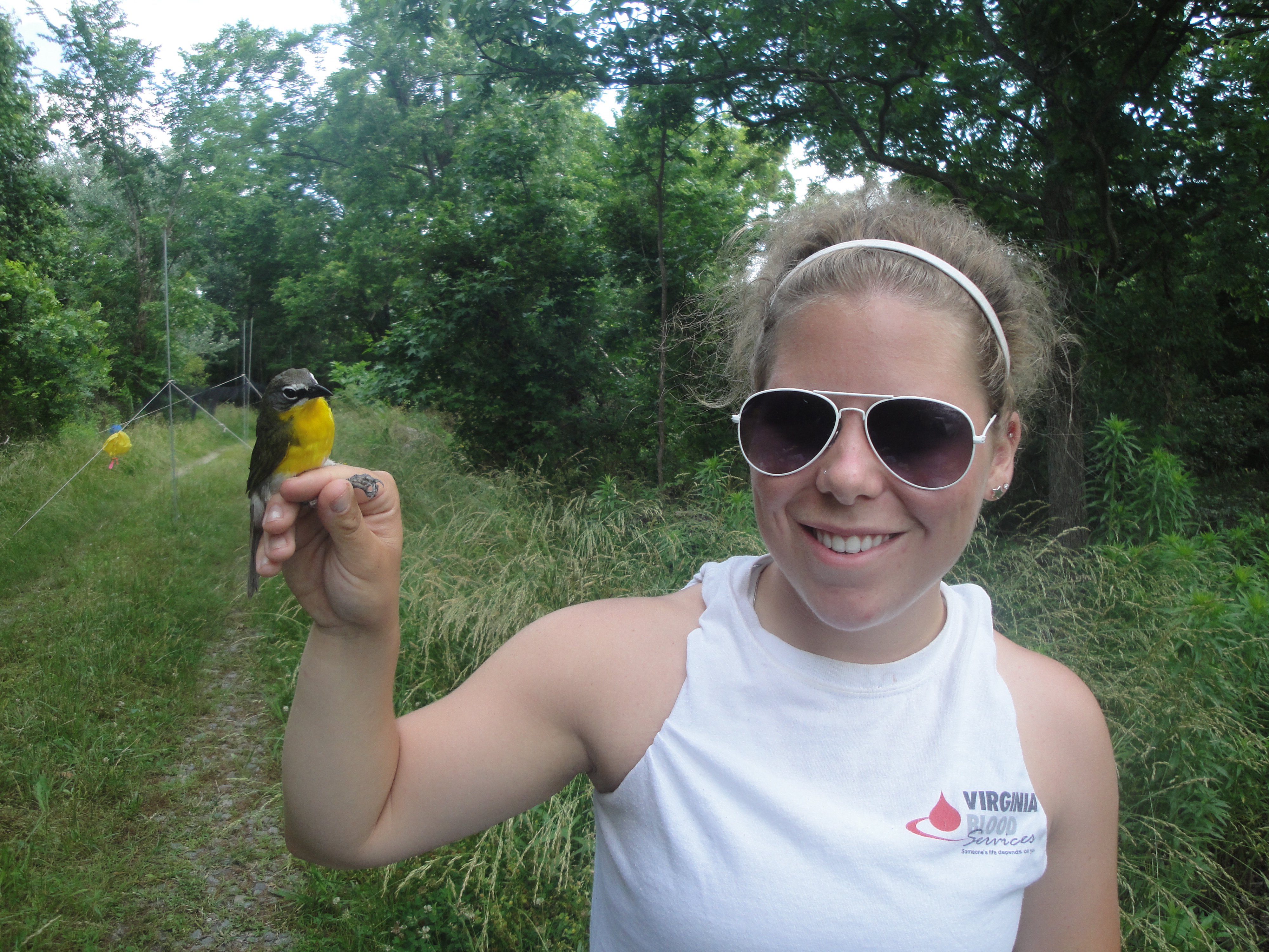 this is a photo of ODU graduate student Erin Heller with a bird that is part of her research