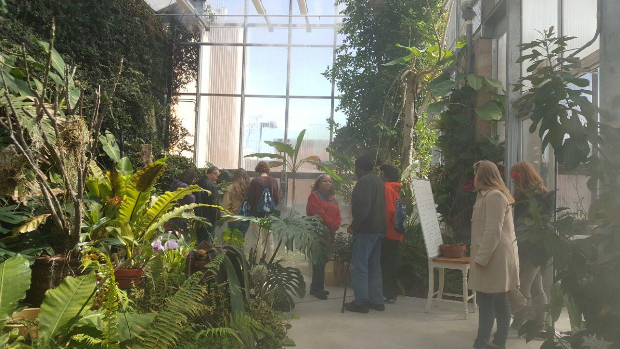 Visitors in the Display Conservatory
