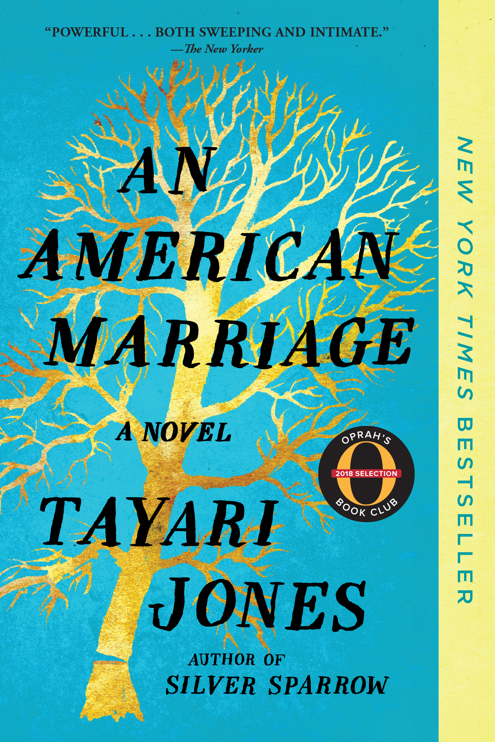 an-american-marriage-book-promo