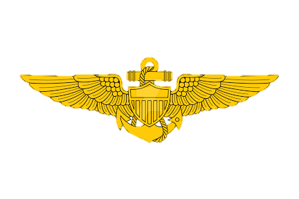 Aviation-insignia