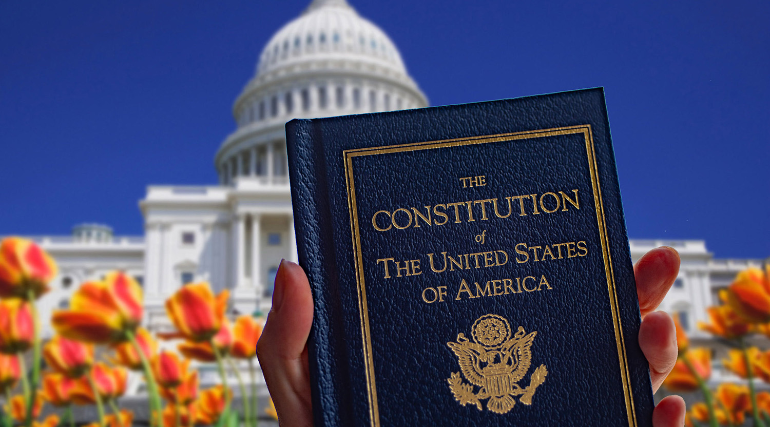 Constitution Stock Image