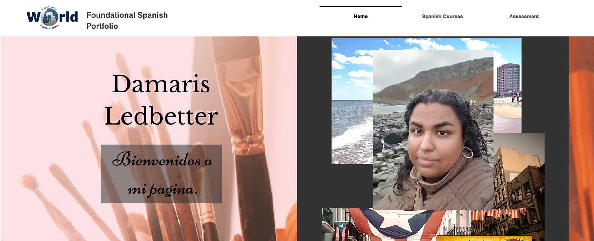 Damaris Ledbetter eportfolio homepage