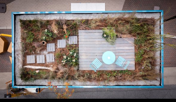 Photo of plants on top of a shipping container.