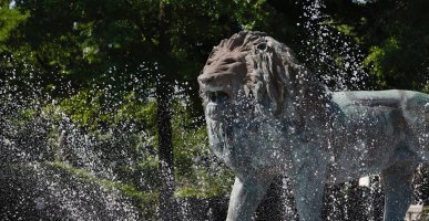 Webb Lion Fountain