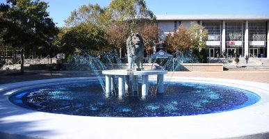 Homecoming Week Blue Fountain