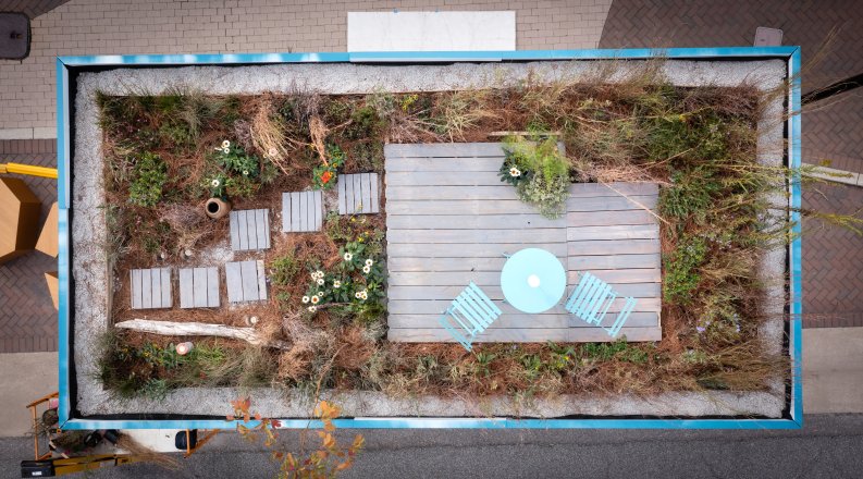 Photo of plants on top of a shipping container.