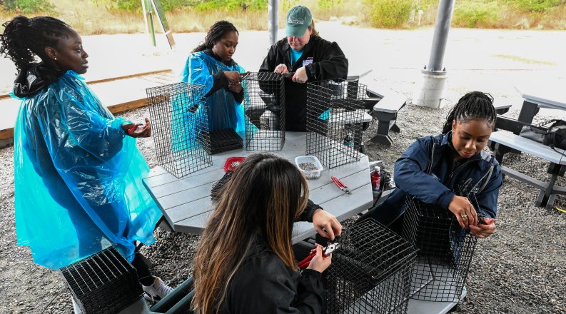 A group of students and staff work together on oyster cages.