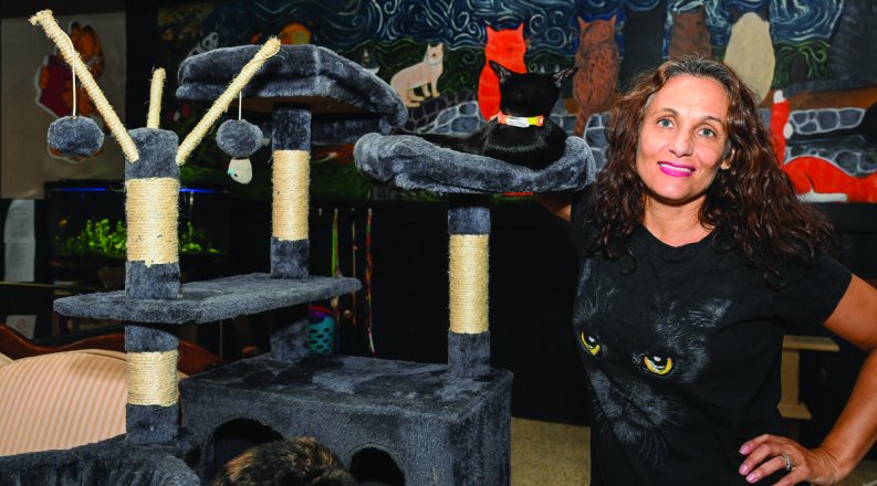 women stands next to cat trees