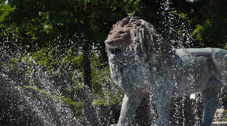 Webb Lion Fountain