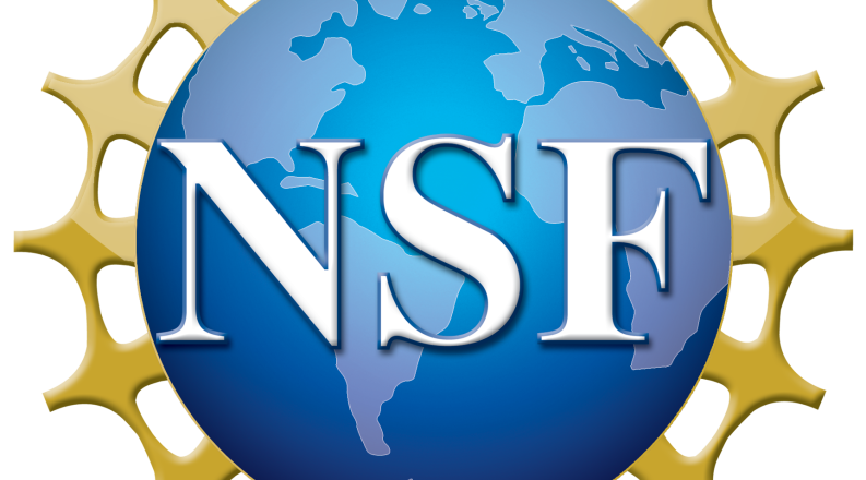 National Science Foundation icon
