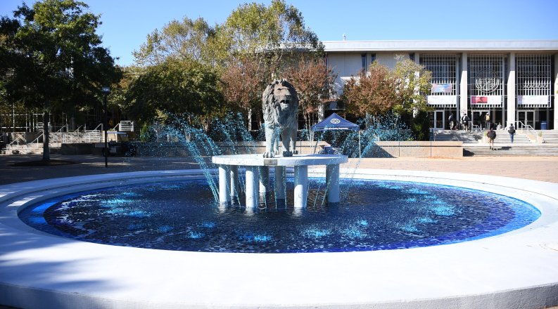 Homecoming Week Blue Fountain