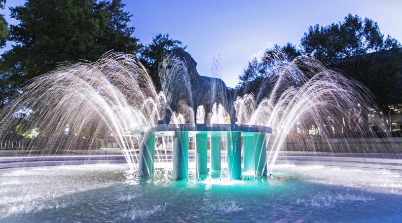 ODU Student Branded Web Images