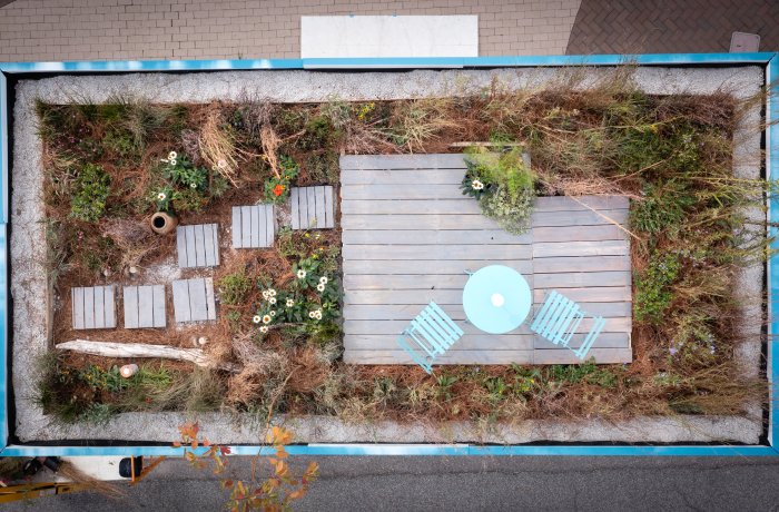 Photo of plants on top of a shipping container.