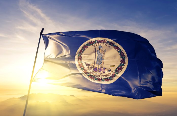 Virginia state flag