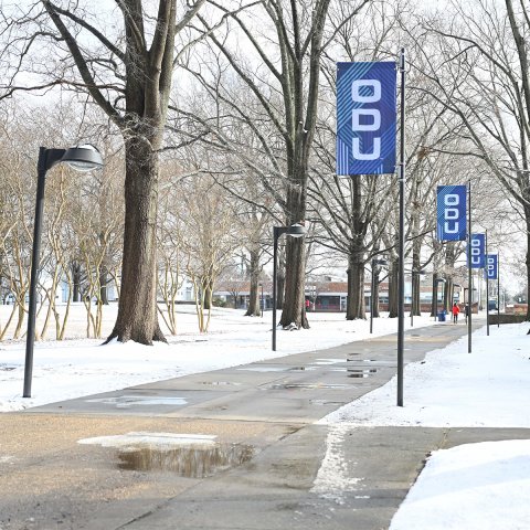 Snow along Kaufman Mall 