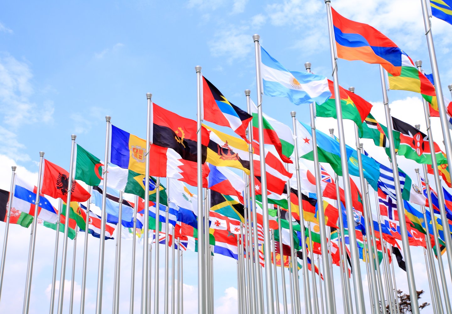 United Nations Banner Flags