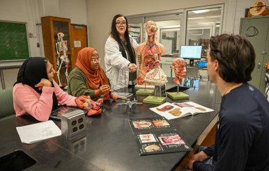 Biology students sit at table with human anatomy figure