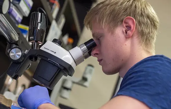 A Biomedical Sciences student studies a sample under the mic