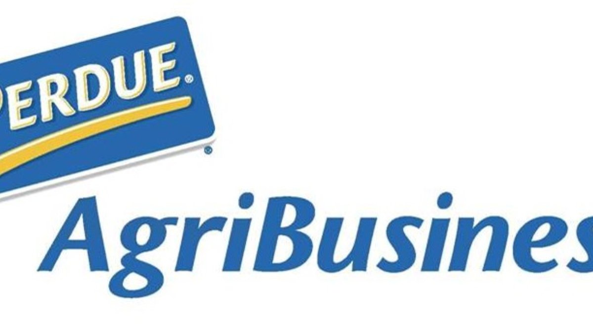 Perdue Logo