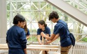 Four young people work with pieces of wood.