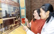 Two people looking at memorabilia