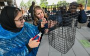 ODU students and faculty work on oyster cages.