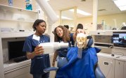 A professor shows a student how to use dental equipment.