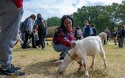 A student pets a goat during Monarch Day on Kaufman Mall.