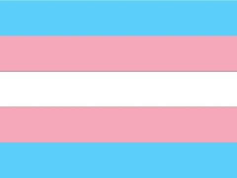 Trans* Support