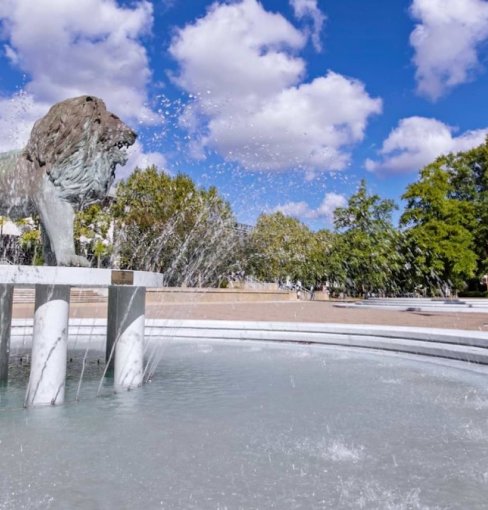 ODU foundation