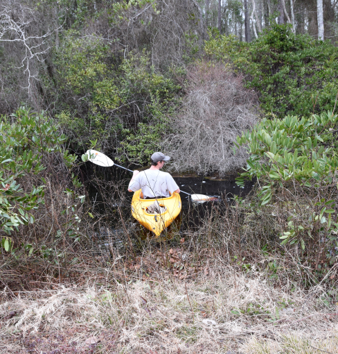 Flanders kayak in swamp
