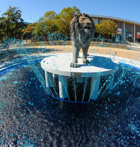 Lion Fountain at Homecoming