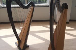 Community Music Division Harps