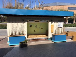 Photo of a shipping container decorated with plants.