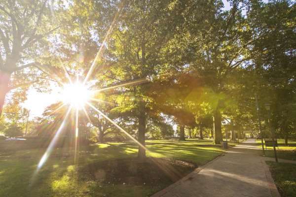 ODU Student Branded Web Images