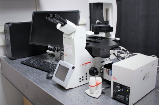 Leica Microscope