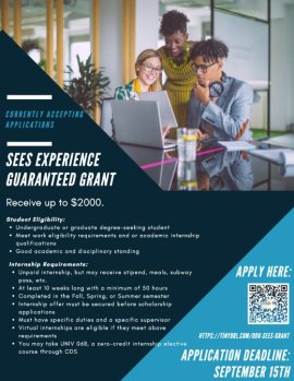 SEES Unpaid Internship Grant 2021