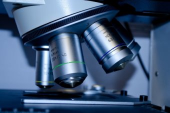 microscope-research-pixabay