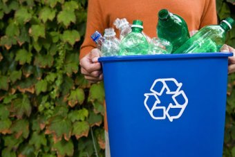 Recycle Mania